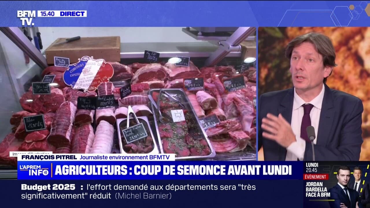 Viande, alcool, voitures… que prévoit l'accord de libre-échange entre l'Union européenne et le Mercosur?