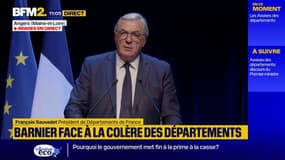 Budget 2025: "Nous sommes à l'os", la colère de François Sauvadet