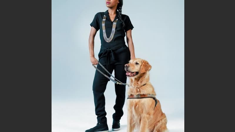 La semaine du chien guide d'aveugle se déroule du 20 au 27 septembre.