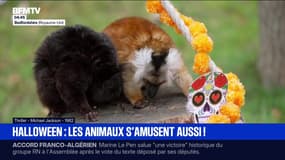 Le break du vendredi 31 octobre