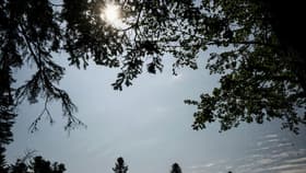 Le soleil brille sur une zone où la santé des arbres est déjà impactée par la sécheresse à Cormaranche-en-Bugey, près de Lyon, le 8 juin 2023