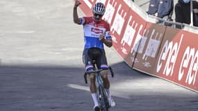 Mathieu van der Poel
