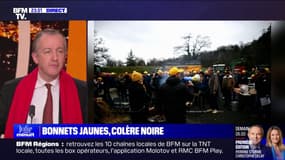 LA BANDE PREND LE POUVOIR - Bonnets jaunes, colère noire