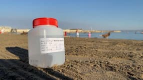 Prélèvement de la qualité des eaux de la Pointe Rouge à Marseille.