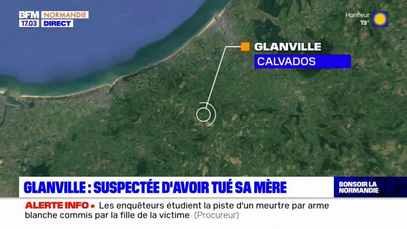 Glanville: une femme soupçonnée d'avoir tué sa mère à l'arme blanche