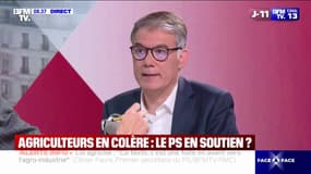 Néonicotinoïdes: Olivier Faure (PS) souhaite "interdire à l'échelle européenne ces produits dangereux"