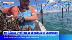 Dans Notre Assiette : les spécialités entre Peynier et Istres