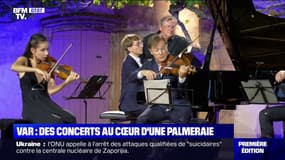 Le violoniste Renaud Capuçon profite de l'été pour donner des concerts au cœur d'une palmeraie de Saint-Tropez