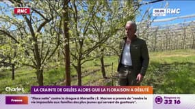 La crainte de gelées alors que la floraison à débuté