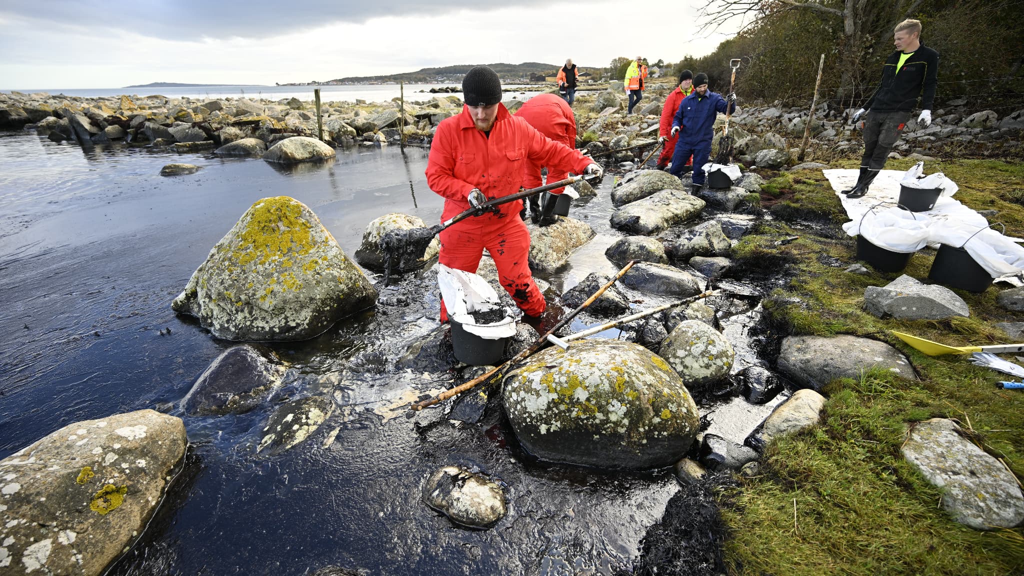 Des personnes nettoient le pétrole dans la réserve naturelle de Spraglehall à Krokas près de Horvik, en Suède, alors que les travaux de dégagement du ferry Marco Polo échoué et les opérations de nettoyage après la marée noire se poursuivent le 23 octobre 2023. Les garde-côtes suédois ont déclaré le 23 octobre 2023 qu'ils travaillaient au nettoyage d'une importante marée noire en mer Baltique après l'échouage d'un ferry transportant des passagers au cours du week-end. Des personnes nettoient le pétrole dans la réserve naturelle de Spraglehall à Krokas près de Horvik, en Suède, alors que les travaux de dégagement du ferry Marco Polo échoué et les opérations de nettoyage après la marée noire se poursuivent le 23 octobre 2023. Les garde-côtes suédois ont déclaré le 23 octobre 2023 qu'ils travaillaient au nettoyage d'une importante marée noire en mer Baltique après l'échouage d'un ferry transportant des passagers au cours du week-end.