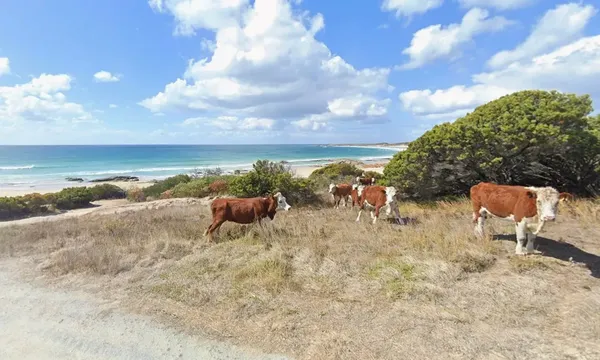 Des images inédites sur Google Maps