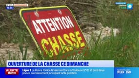 Normandie: la saison de la chasse ouverte en Seine-Maritime, dans le Calvados et dans l'Eure