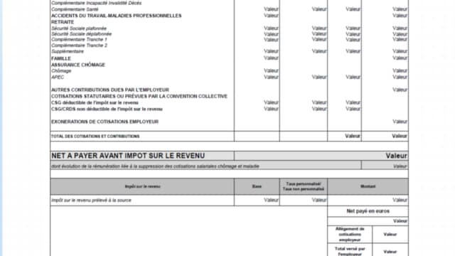 modèle officiel de bulletin de paie