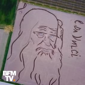 Il dessine un portrait géant de Léonard de Vinci à l’aide de son tracteur, 500 ans après sa disparition
