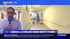 Pierre Hurmic, maire de Bordeaux, détaille les mesures prises dans la ville pour faire face à la canicule 