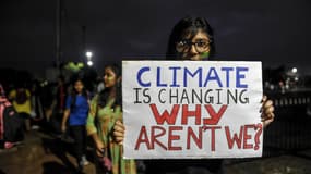 Manifestante écologiste en Inde. 