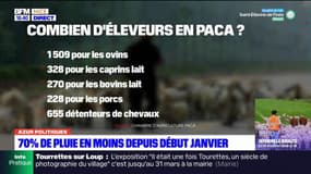 Il n'y a plus que 36.000 ovins dans les Alpes-Maritimes