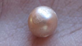 Une perle naturelle vieille de 2.000 ans découverte en Australie