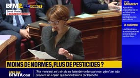Diminution des produits phytosanitaires: "C'est le sens de l'histoire", estime Annie Genevard, ministre de l'Agriculture