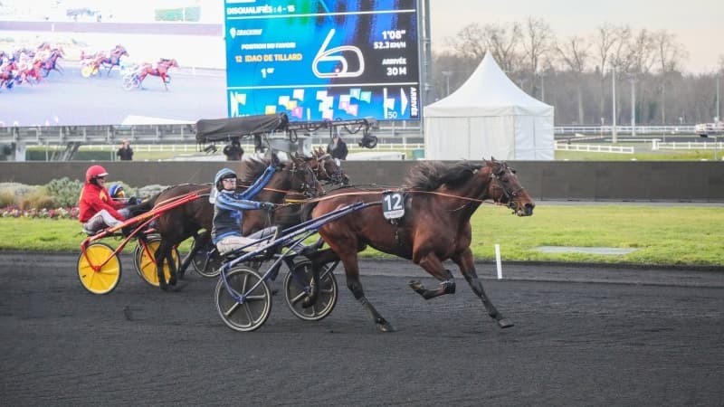 Idao de Tillard sacré dans le Prix d'Amérique Legend Race