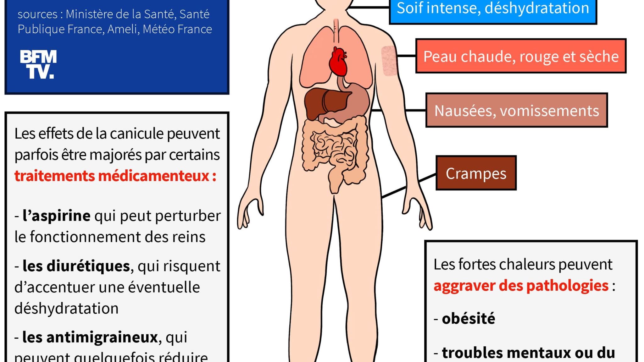 Les effets des fortes chaleurs sur notre corps Les effets des fortes chaleurs sur notre corps