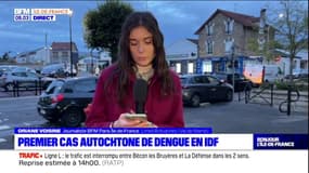 Val-de-Marne: un premier cas autochtone de dengue détecté à Limeil-Brévannes
