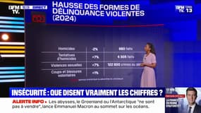LES ÉCLAIREURS - Ce que disent les chiffres sur l'insécurité et la violence en France