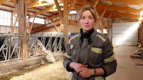 MA REGION ET MOI : L'agriculture biologique