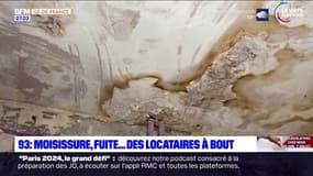 Seine-Saint-Denis: des locataires se mobilisent face aux fuites et aux moisissures dans leurs logements