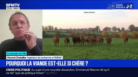 LE DOSSIER DU 13H - Pourquoi le prix de la viande augmente-t-il?
