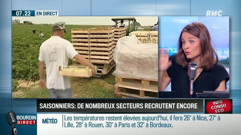 "Dupin Quotidien": pourquoi les employeurs peinent à recruter des saisonniers