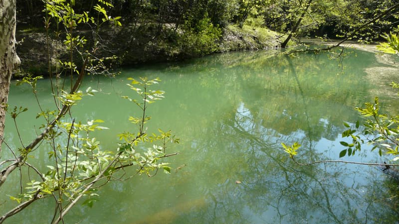 La réserve naturelle du Lez. Photo d'illustration