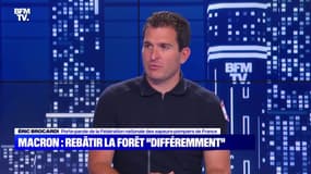 Macron : Rebâtir la forêt "différemment" - 20/07