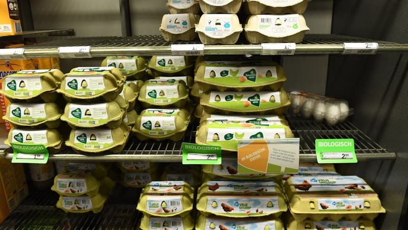 Des oeufs contaminés ont été exportés dans plusieurs pays européens.