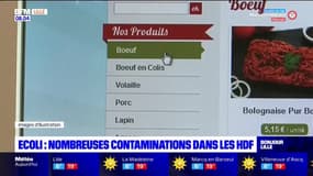 Hauts-de-France: la région est la plus touchée de France par la bactérie E.Coli