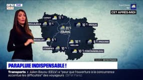 Météo Paris-Ile de France du 11 décembre: Parapluie indispensable !