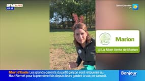 Journée internationale des célibataires ! - La météo de Colas du mardi 11 novembre 2025