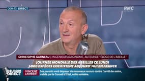 "Suite à un épandage de glyphosate, les abeilles sont dans un état d'ivresse" alerte l'agronome Christophe Gatineau 