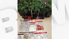 Plusieurs kilos de drogues et une arme ont été saisis.