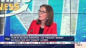 Amélie de Montchalin (Secrétaire d'État) : Bruxelles s'inquiète d'un monopole de PSA et FCA - 11/06