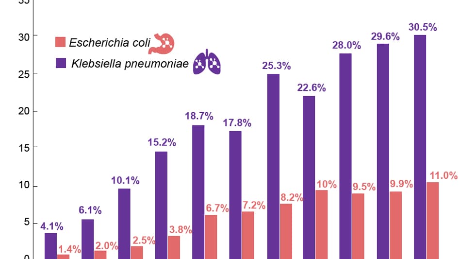 résistance aux antibiotiques résistance aux antibiotiques