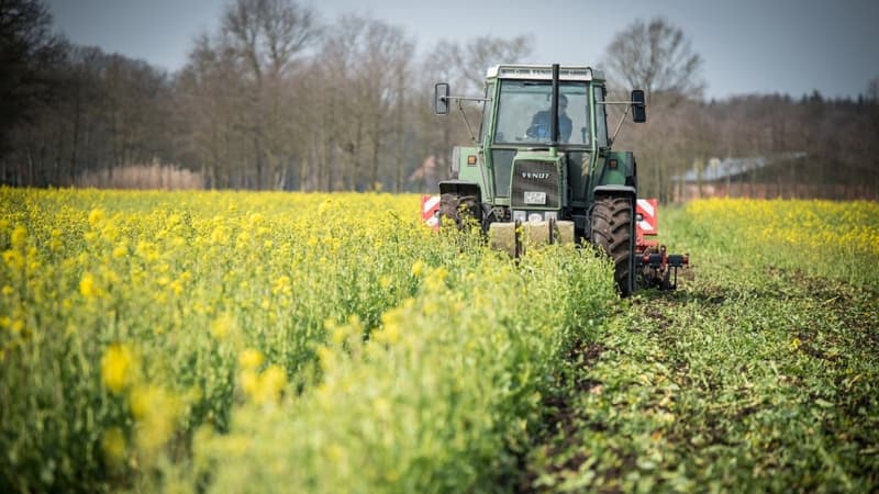 La Bretagne veut augmenter les installations de jeunes agriculteurs (Photo d'illustration)