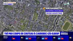 Seine-Maritime: un homme poignarde mortellement son voisin à Caudebec-lès-Elbeuf