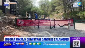 Bouches-du-Rhône: les calanques fermées aux visiteurs ce dimanche en raison du risque d'incendie