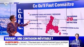  Covid-19: 28 cas du variant britannique détectés dans 7 régions de France 