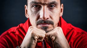 Zlatan Ibrahimovic (AC Milan)