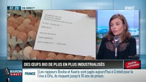 Dupin Quotidien : Les œufs bio de plus en plus industrialisés - 06/09