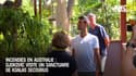Incendies en Australie : Djokovic visite un sanctuaire de koalas secourus 