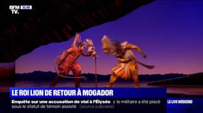 Le "Roi Lion" est de retour au théâtre Mogador à Paris
