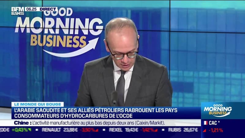 Benaouda Abdeddaïm : L'Arabie Saoudite et ses alliés pétroliers rabrouent les pays consommateurs d'hydrocarbures de l'OCDE - 01/03